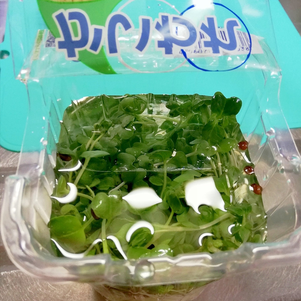 裏技 かいわれ大根の種殻取り 水切り レシピ 作り方 By ちゃこぶそん 楽天レシピ 裏技 かいわれ大根の種殻取り 水切り レシピ 作り方 By ちゃこぶそん 楽天レシピ